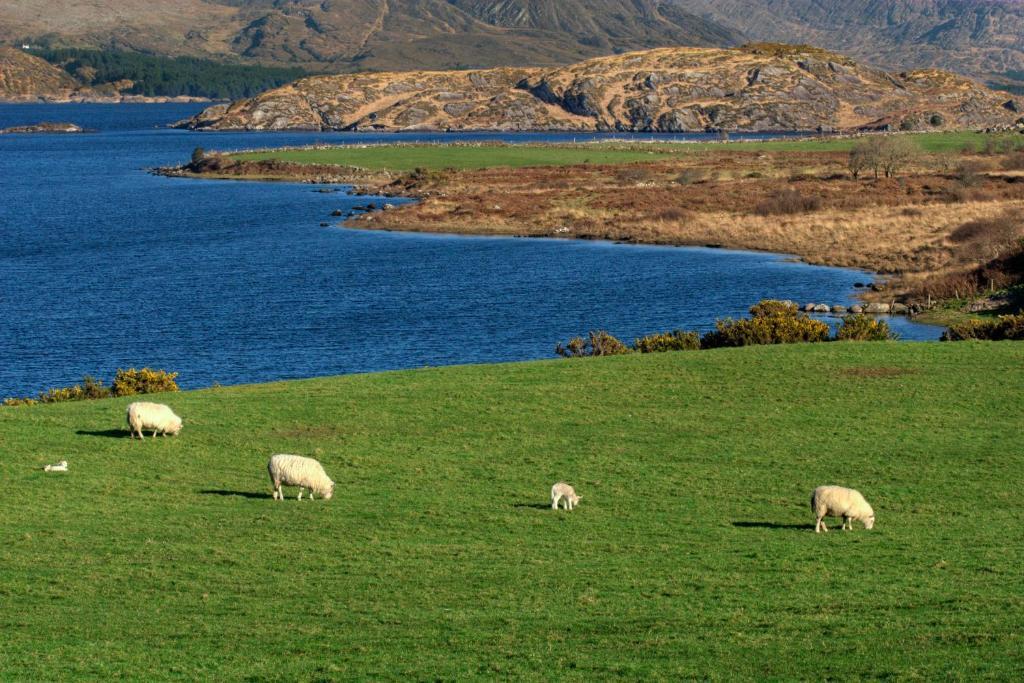 Lakelands Farm House Waterville Exterior foto